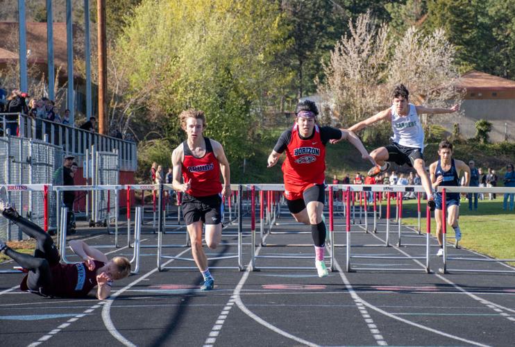 110mHurdles.jpg