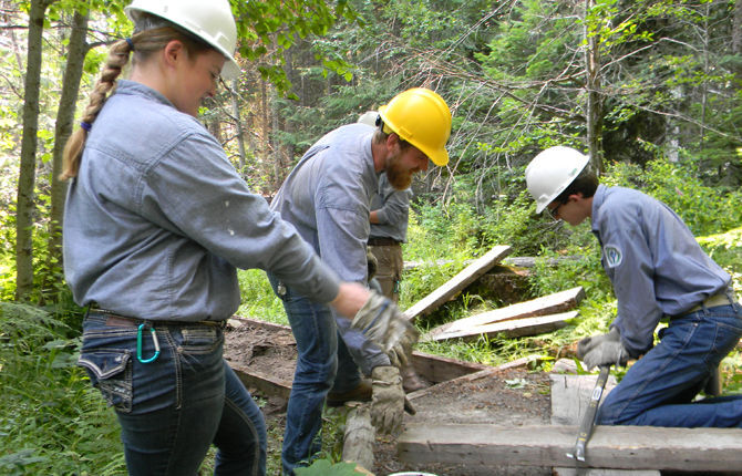At Work in the Woods