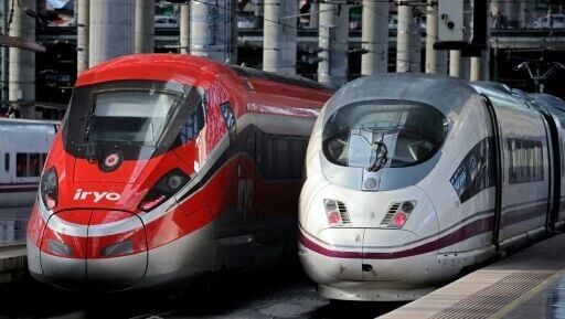 Trains operated by national railway company Renfe (R) and private firm Iryo (L) in Madrid's Atocha station