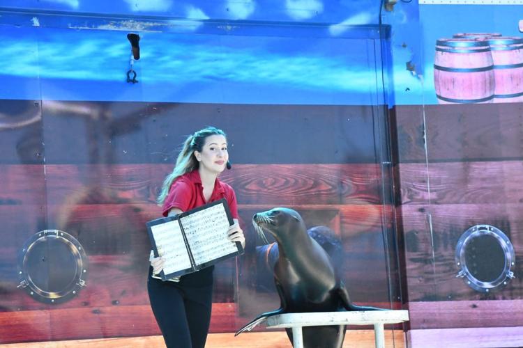 Hood River County Fair 2023