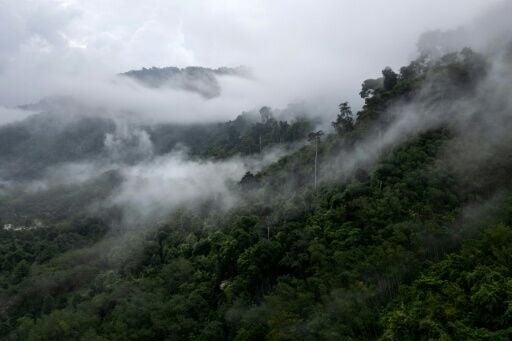 For centuries the Maniq, part of the wider Negrito ethnic lineage, lived as hunter-gatherers