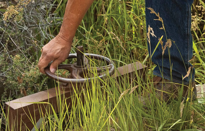 Ditch Walker: Water is gold, here