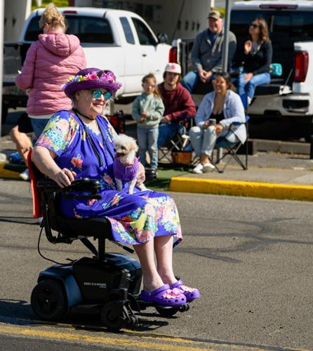 2025-04-26 Cherry festival II 211-2.jpg