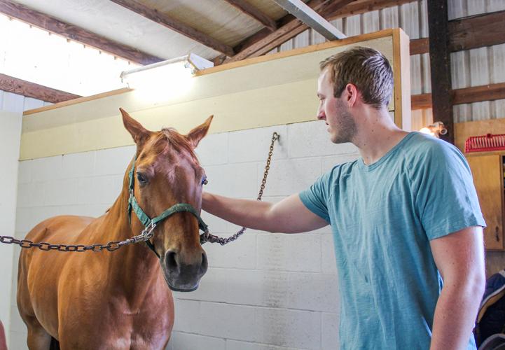 A7 caleb horse, 3.jpg