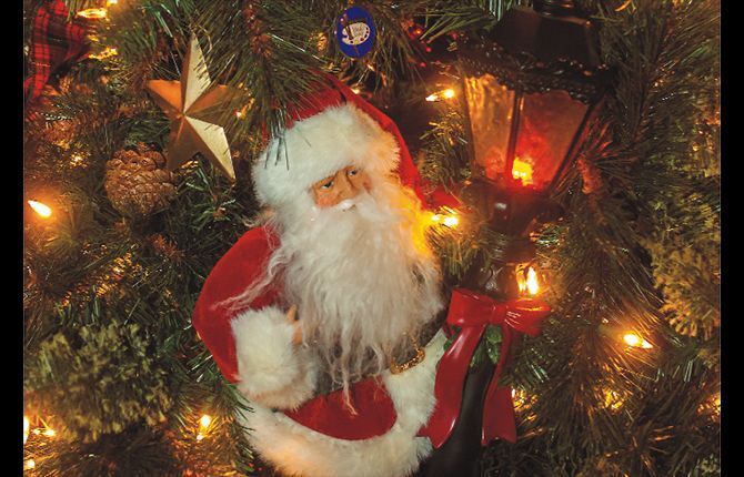 Festival of Trees