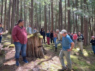 Oregon Western Cascades landscapes burned more often than thought