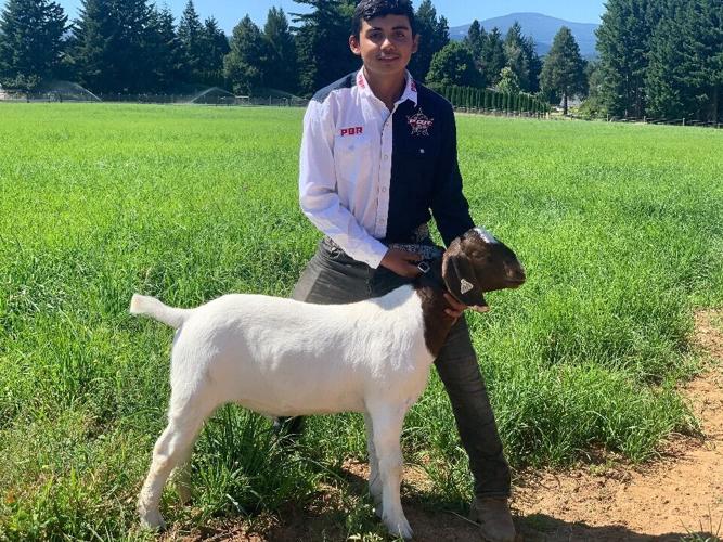 HR 4-H Eric Palacios Goat.jpg