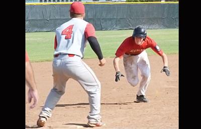 Ortega uses summer baseball as learning tool