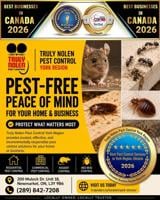 Truly Nolen Delivers Award-Winning Pest Control Services Across York Region, Ontario
