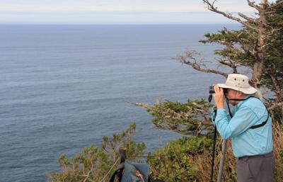 Oregon’s Cape Lookout is ideal for whale watching
