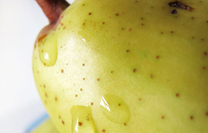 Extension cord: Take pears off the tree to ripen