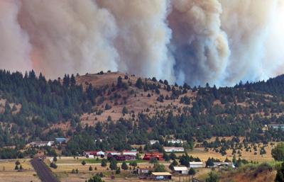 Canyon Creek: After the flames