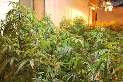 Bingen pot retailer one of first to receive LCB license Monday