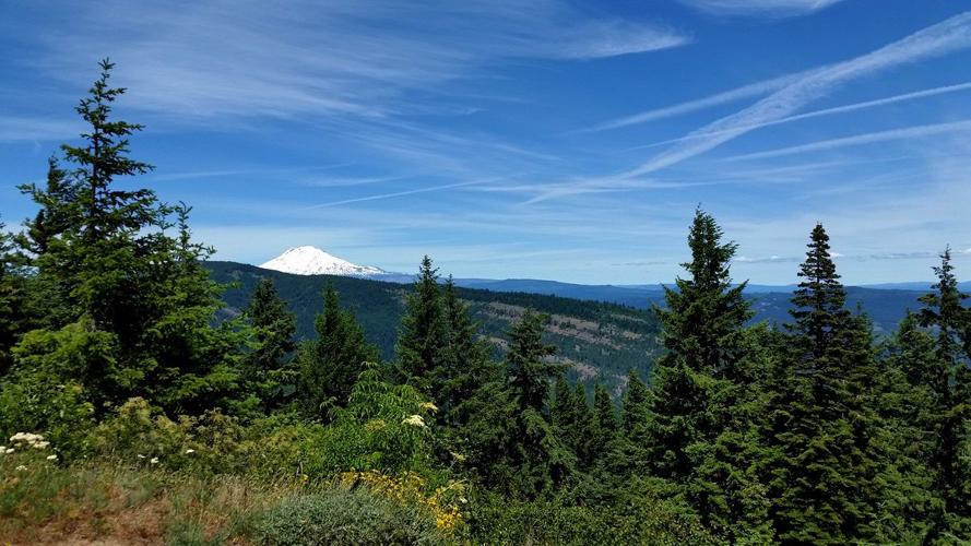 Gorge Explorer: Nestor Peak; Valley views worth the hellacious climb