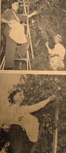Sept 28 1942