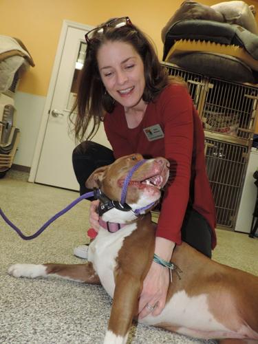 B10 eden and delta.JPG