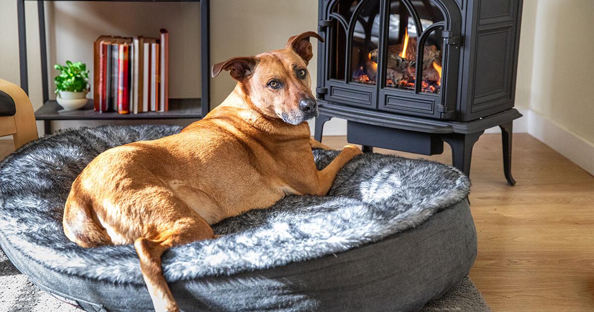 Home Energy Spotlight: Simple tips to save energy and lower heating costs