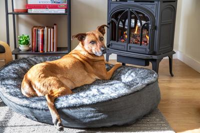 Energy Trust - Cold Wx Heating Tips Sponsored Content January Photo.jpg