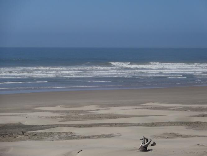 Driftwood Beach.jpg