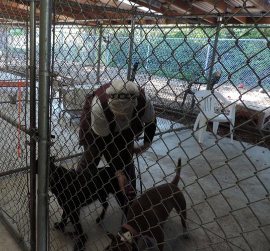 B10 outside enclosures.JPG