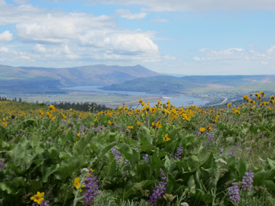 Land trust to preserve final Mill Creek Ridge piece