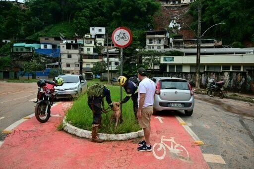 Volunteers check on a rescued dog