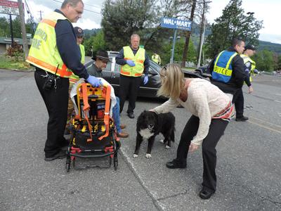 On the corner of Rand and Canine