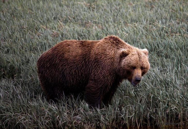 What to Know Before Visiting Alaska: 14 Tips to Prepare You in 2026