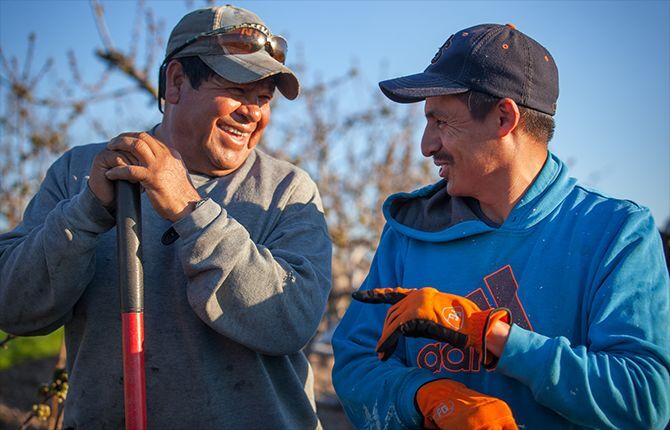 Calendar showcases local farm