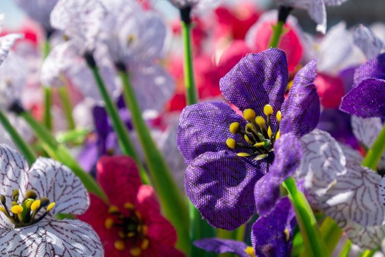 Council uses fake plastic flowers to save cash and water