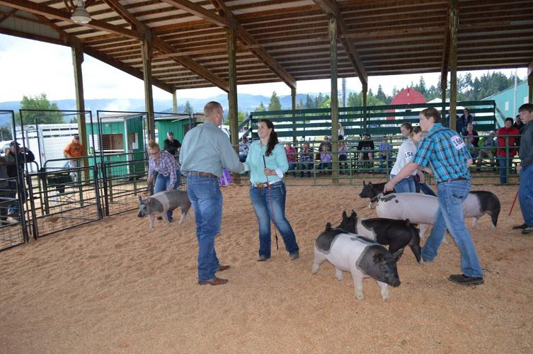 A ‘Classic’ Begins: Teen brings Jackpot livestock tradition to Hood River County