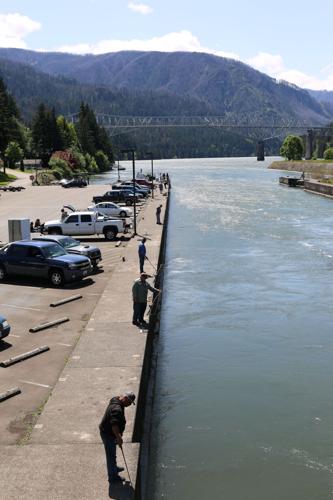 Cascade Locks fish.JPG
