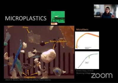 Kirsten Kapp microplastics