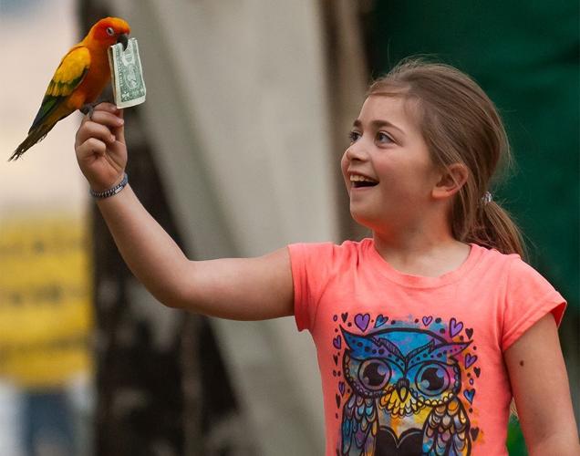 Wasco County Fair