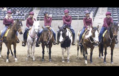 Countdown begins for T-Dub equestrians