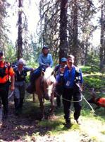 Missing 87-year-old berry picker found safe Sunday