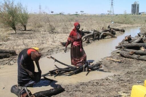 The economic devastation of the war has driven the logging, while the conflict has prevented enforcement
