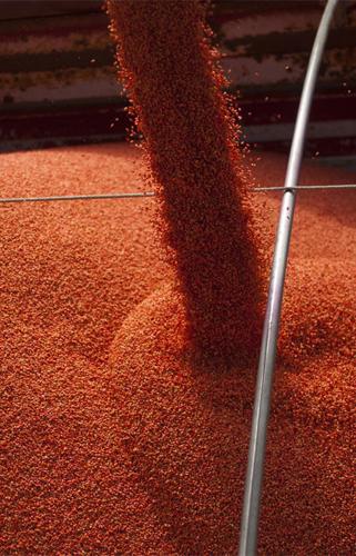 Farmers voice Measure 97 fears