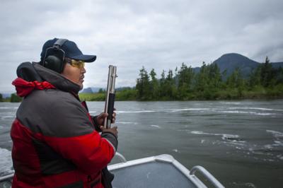 Hazing sea lions not a long-term fix
