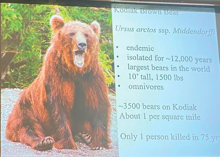 B11 Wild About Nature 3 PRINT