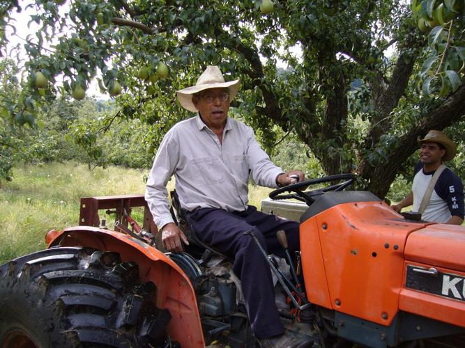 Roots and Branches: A grand mural
