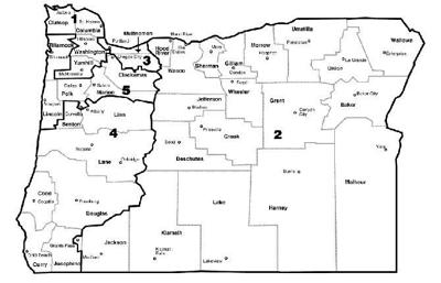 Intriguing races follow redistricting