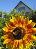 Featuring Hood River poet Pat Cason: Creativity in the Gorge
