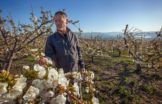 Calendar showcases local farm