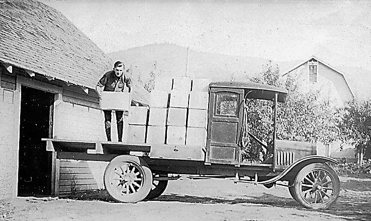 Roots and Branches: A grand mural