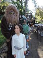 ‘Cantina’ style?