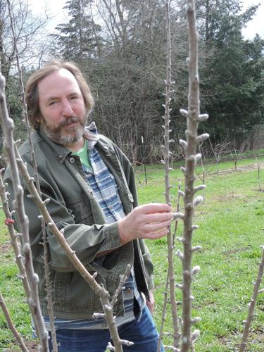 Matt Swihart’s cider start-up