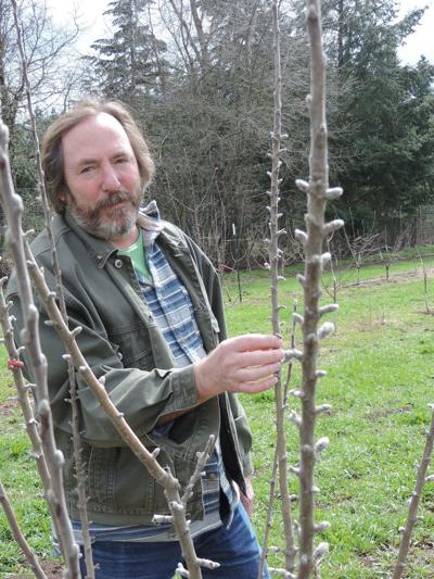 Matt Swihart’s cider start-up
