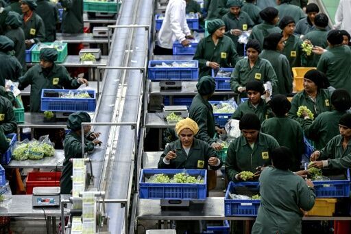 A trade deal with the US angered Indian farmers' unions, who argued that cheap US imports would rob local producers of their livelihoods