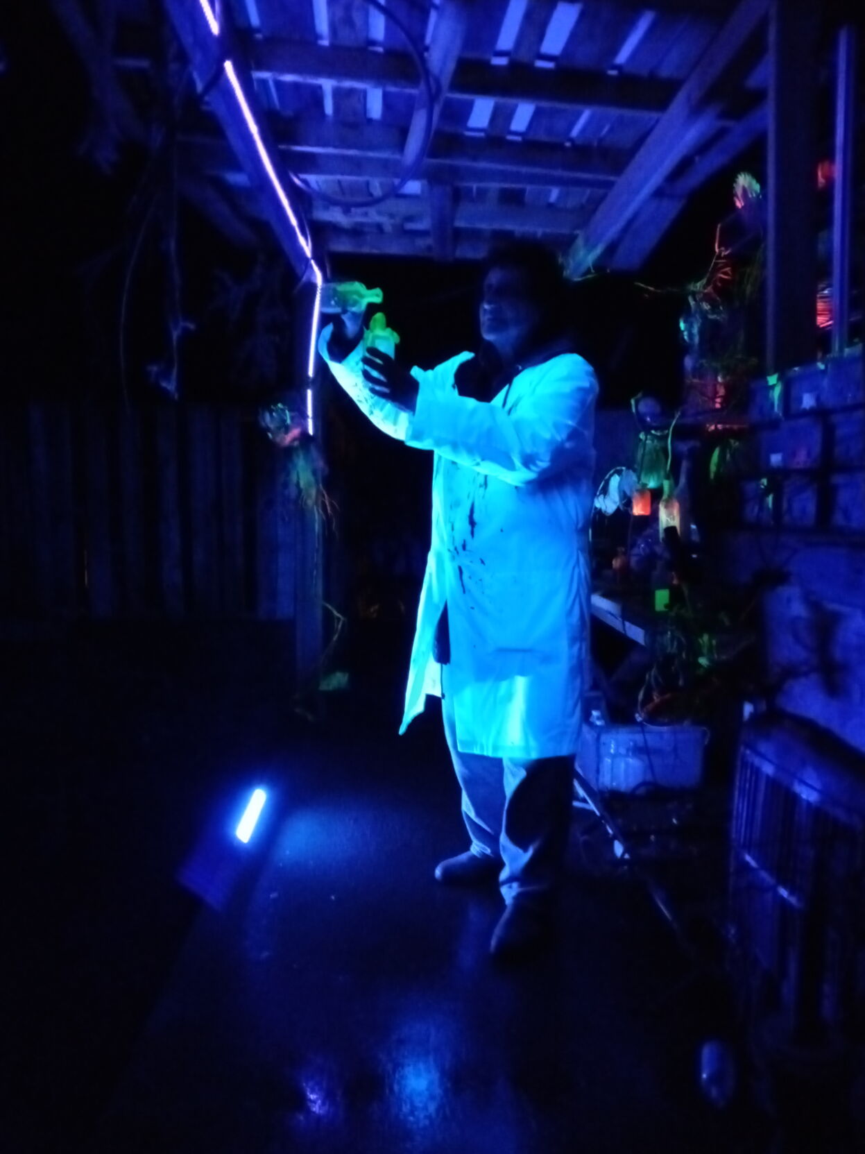 Harvest Haunt Mosier